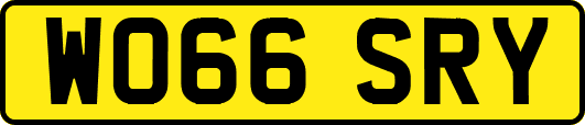 WO66SRY