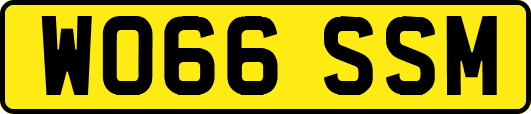 WO66SSM