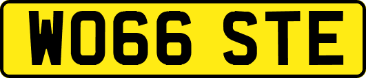 WO66STE