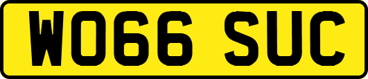 WO66SUC