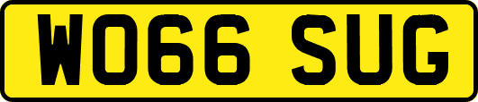WO66SUG