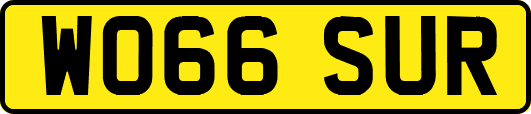 WO66SUR