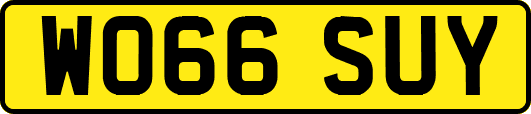 WO66SUY