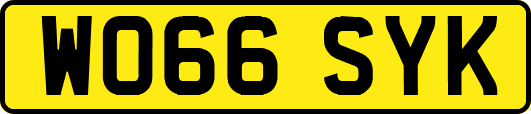 WO66SYK