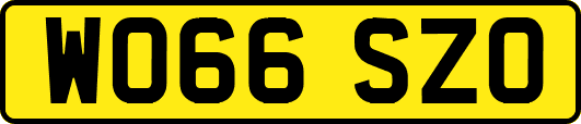 WO66SZO