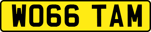 WO66TAM