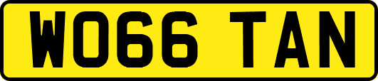 WO66TAN