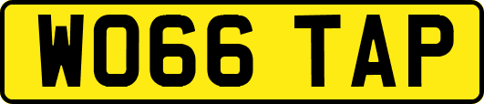 WO66TAP