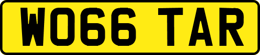 WO66TAR