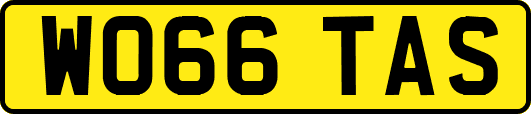 WO66TAS
