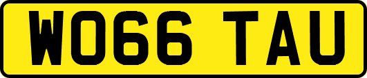 WO66TAU