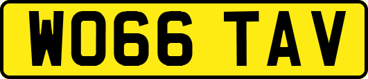 WO66TAV