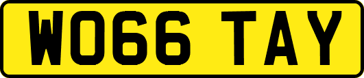 WO66TAY