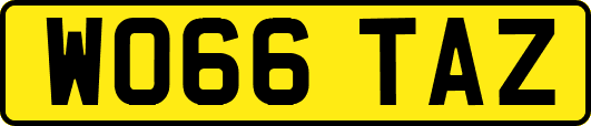 WO66TAZ
