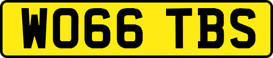 WO66TBS