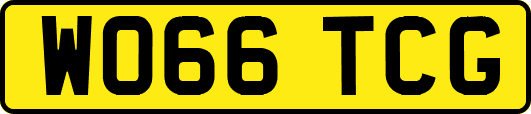 WO66TCG