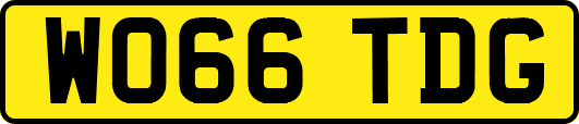 WO66TDG