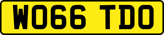 WO66TDO