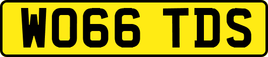 WO66TDS