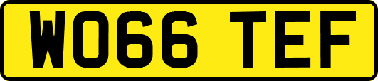 WO66TEF