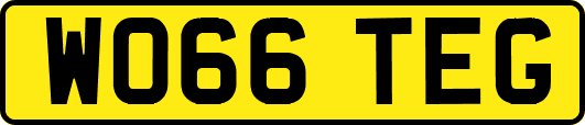 WO66TEG