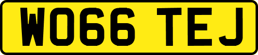 WO66TEJ