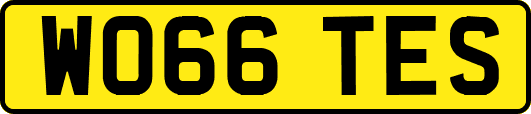 WO66TES