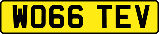 WO66TEV