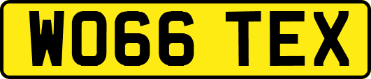 WO66TEX