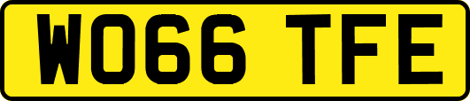WO66TFE