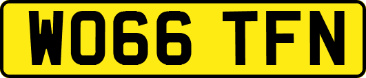 WO66TFN