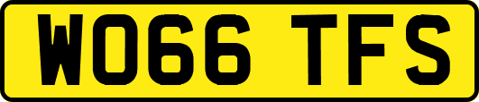 WO66TFS