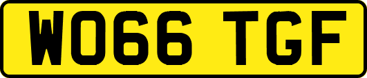 WO66TGF