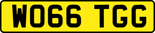 WO66TGG