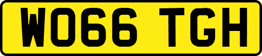 WO66TGH