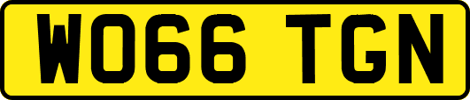 WO66TGN