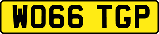 WO66TGP