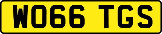 WO66TGS