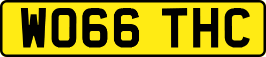 WO66THC