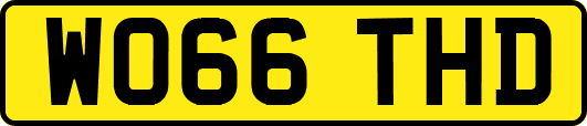 WO66THD