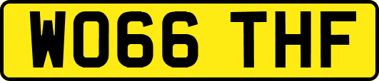 WO66THF