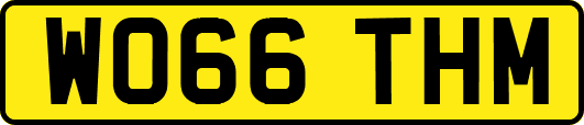 WO66THM