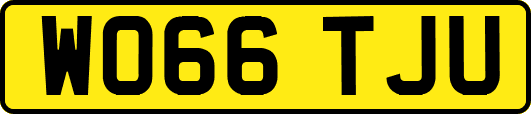 WO66TJU