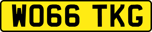 WO66TKG