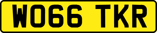 WO66TKR