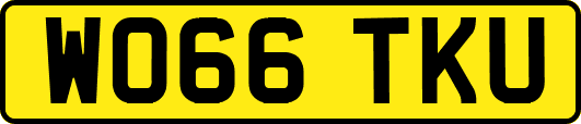 WO66TKU