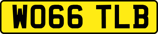 WO66TLB