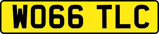 WO66TLC