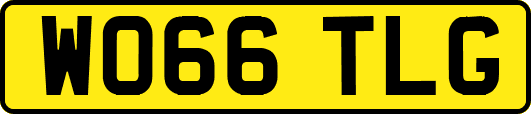 WO66TLG