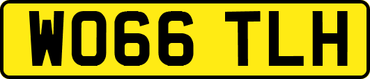WO66TLH